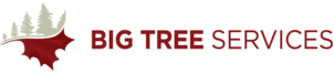 Big Tree Services Logo